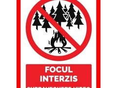 Placuta focul interzis supraveghere video